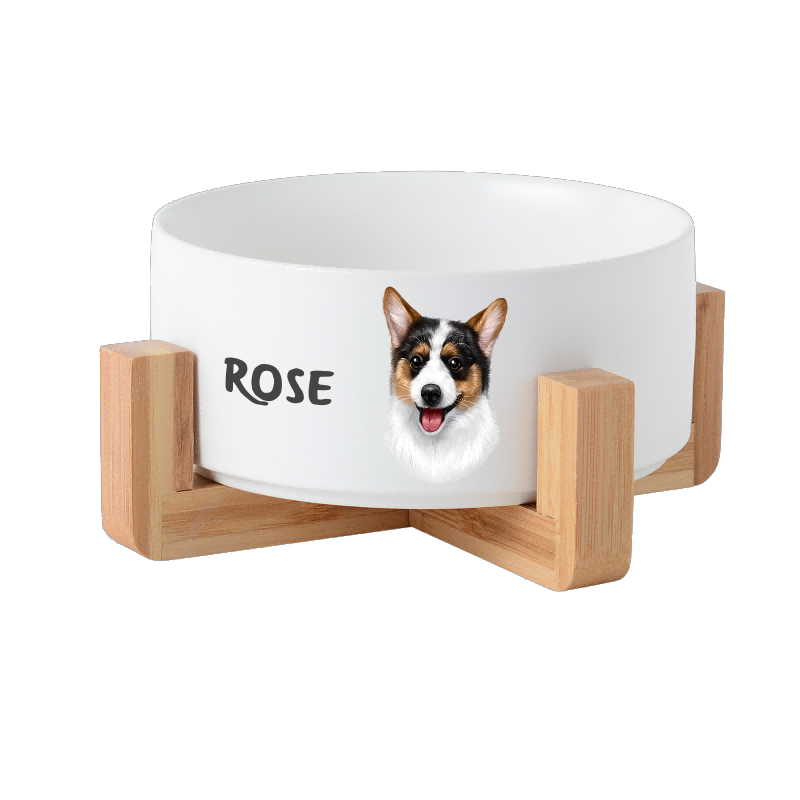 Custom Food Bowl With Wooden Frame